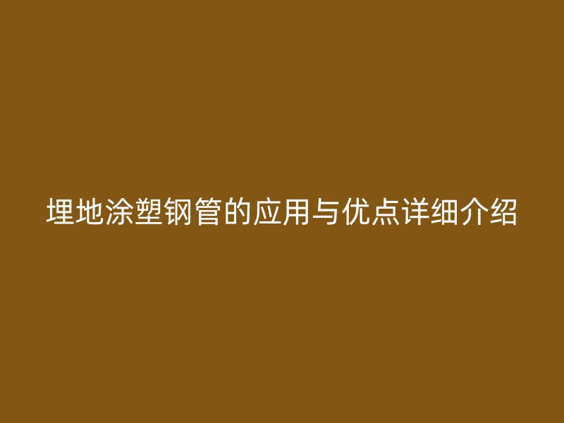 埋地涂塑鋼管的應用與優(yōu)點詳細介紹