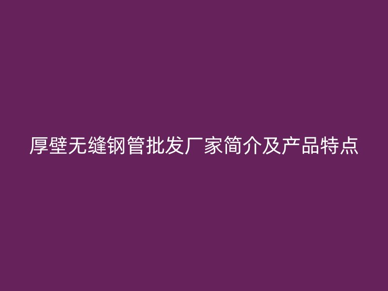 厚壁無縫鋼管批發(fā)廠家簡介及產(chǎn)品特點(diǎn)